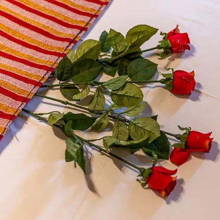 别墅 Hillside View, House 1 *